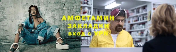 индика Елизово