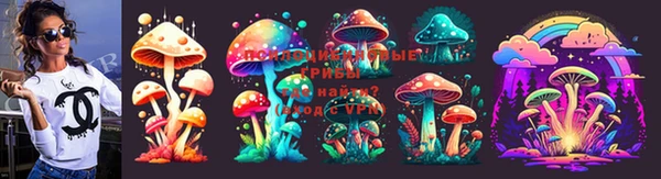 mdma Ельня