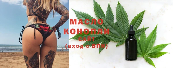 индика Елизово