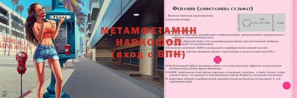 индика Елизово