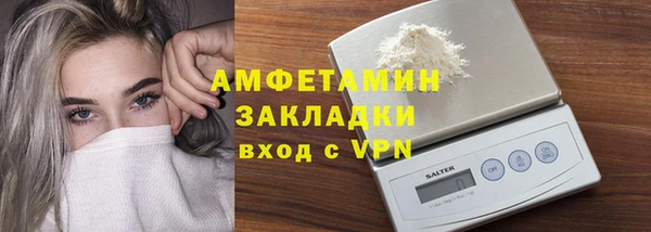 индика Елизово