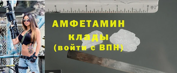 индика Елизово