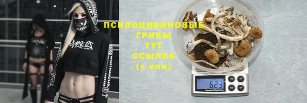 mdma Ельня