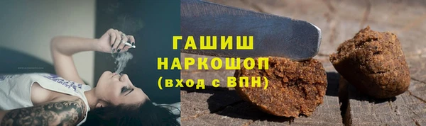 индика Елизово