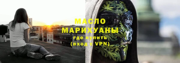 индика Елизово