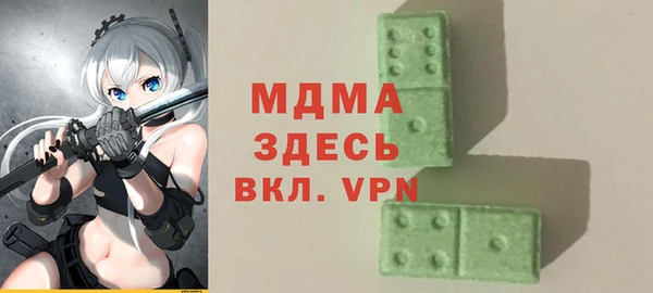 индика Елизово