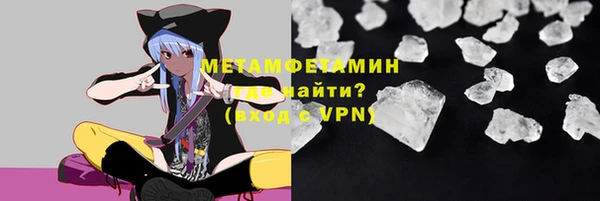 индика Елизово