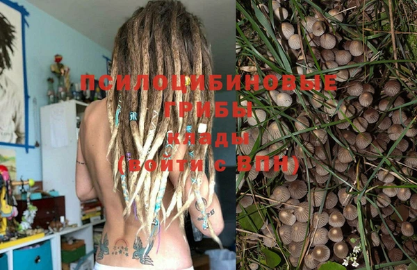 индика Елизово