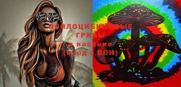 mdma Ельня