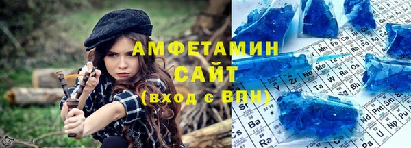 индика Елизово
