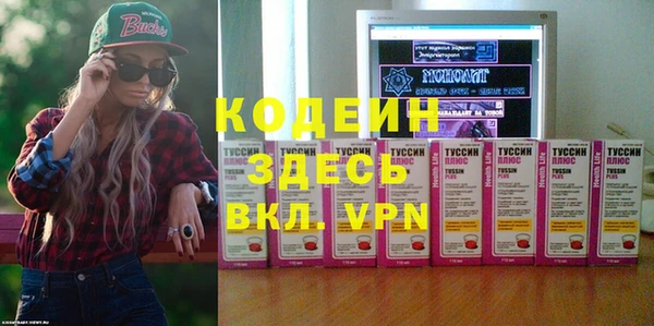 индика Елизово