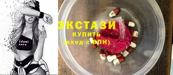 индика Елизово