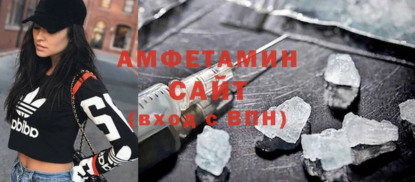 индика Елизово
