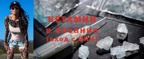 индика Елизово